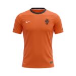 Camiseta retro Países Bajos 2010 Primera Equipación — vista frontal en maniquí